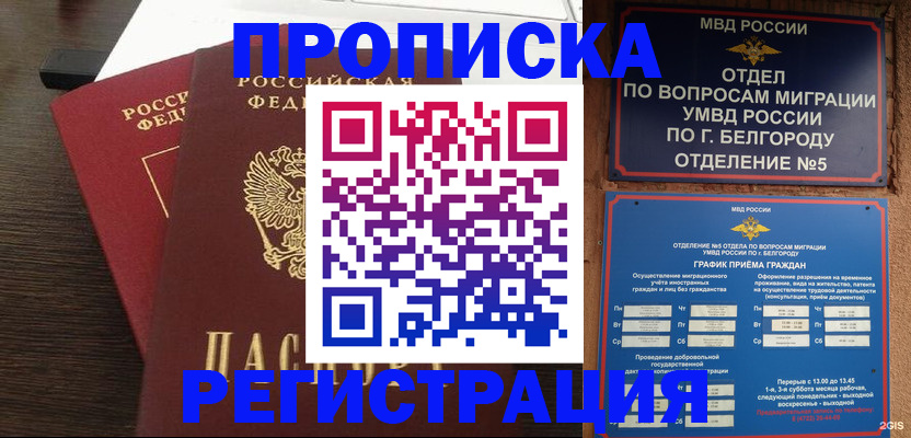 прописка гарантия в Хвалынске